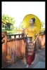 Ethnische Kleidung, thailändischer Kleidungsstil, Sommer, dünn, atmungsaktiv, Alltagskleidung, Phasin, asiatische Kleidung für Frauen, traditionell, Thailand