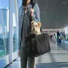 Przewoźnik psów explorer podróżny linie lotnicze zatwierdzone d na pokładzie czarny średnia kupa torba coche perro mała kota backpa