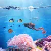 水族館水族館装飾アクセサリーミニサムル装飾品植物石の装飾タートルアクセサリー水族館用水槽アクセサリー230925