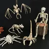 Andere Event Party Supplies Halloween bewegliches Skelett gefälschte menschliche Schädel Knochen Home Bar Dekorationen Spukhaus Horror Requisiten Ornament Spielzeug 230923