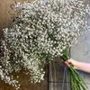Torkade blommor vita naturliga gipsophila barn andningsarrangemang hem dekoration bröllop borddekor blommig diy 230923