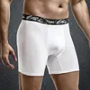 Onderbroek L-6XL Plus Size Katoen Heren Boxers Sport Comfortabel Slipje Mannelijke Sexy Ondergoed Man Lingerie Ropa Interieur Hombre