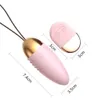 Vibrateurs Kegel Ball Télécommande sans fil Oeuf vibrant Stimulateur de clitoris Massage vaginal G Spot Sex Toys pour femme 230925