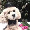 Cão vestuário pet festival festa preto lantejoulas top chapéu laço decoração conjunto bowtie moda lantejoulas ajustável com 230923