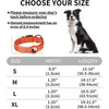 Dog Collars反射性エアタグカラー調整可能なApple Air Tag Holder Case Pet Accessoriesとのヘビーデューティ