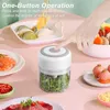 Blender 100/250 ml Mini Electric Electric Vitlök Chopper Vegetabilisk Chili Meat Ginger Masher Machine Robust Dålig USB -laddningsblandare Kök