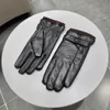 minimalistisch design handschoenen voor heren mode Schapenvacht Wanten Warme sluiting design jongen Vijf Vingers Handschoenen Wintercadeau Inclusief doos