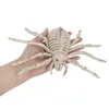 Other Event Party Supplies Halloween Decoration Horror Skeleton Fake Bats rat spider Animal Haunted Home Prop Ornament Toys 230923