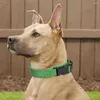 Hundehalsbänder für Training, Outdoor, Gehen, Basic mit reflektierenden Streifen, weiches Halsband, Schnellverschluss, langlebig, modisch, mit Neopren gepolstert, für Welpen