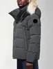 캐나다 복구 재킷 남자 디자이너 리얼 코요테 털 야외 Wyndham Windbreaker Jassen outerwear 후드 Fourrure Manteau Down Jacket Coat Diva Doudoune