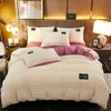 Thick Solid Color Velvet Duvet Cover Winter Warmth Twill Bedding Set Double Quilt Cover Twin Queen King Comforter Cover