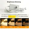 110V 220V RGB Controllers Aluminium Housing LED STRIP LIGH