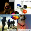 Hundehalsbänder, LED-Kragen, leuchtender Anhänger, Nacht-Sicherheits-Charme, Lichter, bunte Haustierleinen, Zubehör für Spaziergänge, helle Halskette