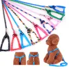 Katthalsar nylon koppel sele set justerbar färgglad tryckt liten hund bröstband traktion rep valp promenad chihuahua perro