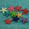 Aquaria 51020pcs Mini Hars Schattig Veelkleurig Miniatuur Sea Star Tank Aquarium Ornamenten Decor Woondecoratie Accessoires Modern 230925