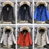 Designer Mens Canadian Goose Puffer Down Veste Femme Down Parkas Hiver Épais Manteaux Chauds Femmes Coupe-Vent Broderie Letters862