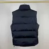 giubbotti da uomo designer giubbotto palla giubbot da uomo giubbotti giubbotti unisex coppia bodywarmer giacca da donna senza maniche da esterno da esterno da outwear con outwear con outpassino caldo gilet uomo