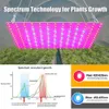 Grow Lights LED -anläggning Grow Light 1000W/2000W Full Spectrum Hydroponic Growing Lamp Plants Phyto Veg Flower Indoor Ultrathin Panel Phytolamp YQ230926