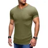 メンズTシャツ夏のVネック半袖Tシャツメンカジュアルストライプスリムフィットスポーツクイックドライトップティーシャツのティーシャツ