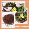 Party Decoration Bird Nest Set Ornaments Christmas Tree Egg The Fake Birds Eggs Decorations