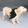 Hundebekleidung Halloween Flügel Hundekostüm Drachenzähmen leicht gemacht Kleid Hund wie ein zahnloses Haustier Halloween Weihnachten Hund Katze Cos Geschenk T230926