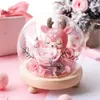 Bottles 2sets/pack Diameter 18cm Big Size Round Glass Dome Vase Home Deocration Different Log Base Transparent Cover Wedding Gift