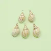 Pendentif Colliers Naturel Conque Cowrie Shell Or Couleur Bord Charmes Pour La Fabrication De Bijoux Collier De Bricolage Bracelets De Cheville Accessoires De Mode