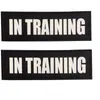 Dog Tag Reflective Patches With Hook Backing -SERVICE SERVICE IN TRAINING EMOTIONAL SUPPORT DO NOT PET