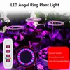 Whod Lights LED LED Lights dla roślin Pełne spektrum lampa dla roślin rośliny Wyspaj żarówki Regulowane światła uprawy dla słonecznika zielonego YQ230926