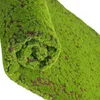 الزهور الزخرفية محاكاة الجدار الأخضر الجدار الدقيق الدعوم الذروة تيراريوم النباتات النباتات حديقة الاصطناعية مشهد القطن