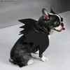 Hundebekleidung Halloween Flügel Hundekostüm Drachenzähmen leicht gemacht Kleid Hund wie ein zahnloses Haustier Halloween Weihnachten Hund Katze Cos Geschenk T230926