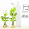 Grow Lights JCBritw Desktop LED Grow Lamp Ring on Stand for Indoor Plants Floor Growing Light Dimmable with Timer Function Color Switchable YQ230926