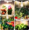 Grow Lights LED -växt Växande ljus Full Spectrum E27 E26 Folding Plant Grow Light AC110V 220V Phyto Lamp inomhus Vegetabilisk blommaplantor YQ230926