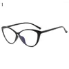 Lunettes de soleil monture transparente Anti-UV rayons bleus imprimé léopard ultra-léger miroir plat lunettes PC couleur unie optique