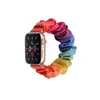 لفرقة Apple Watch Strap Band Applewatch 876543SE ، شريط نايلون ، نايلون ، شريط الشعر الكبير ، حزام IWatch المرن 38/41/42/42/44/45/49mm