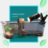 Reptile Supplies Schildkrötenbecken, Aquarium, offene Fische mit Sonnenplattform, Lebensraum, Kokosnussbaum für Krebse, Sonnenbaden, Kunststoff, 230925