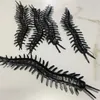 simulated Soft Glue Insect, Centipede, Trick Insect, Scaring Prop, Tianlong Model, Multi legged Mollusk, Hundred legged Insect(12 pieces per piece)