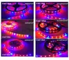 Светодиодные ленты для выращивания растений 1M 2M 3M 5M 12V 2A/3A Водонепроницаемая лампа для выращивания растений SMD 5050 Красный Синий Адаптер питания для освещения V27 YQ230926