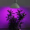 Coltiva le luci 5 pezzi 200 LED coltiva la luce per piante da interno luci crescenti E27 lampada per piante fiore sistema idroponico vegetale serra U26 YQ230926