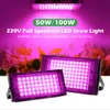 Grow Lights 50W 100W LED poussent des plantes lumière d'inondation 220V spectre complet Phyto lampe à effet de serre hydroponique projecteurs de culture prise ue avec interrupteur YQ230926