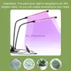 Grow Lights Plant Grow Light USB -gränssnittsersättning Tidpunkt Justerbar Rotary 360 -graders LED -plantor Laggrädgårdsklipplampa YQ230926