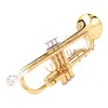 Il Belin Trumpet Bb B płaski mosiądz złoto Zagolowany Znakomity trwały instrument muzyczny z ustami rękawiczki