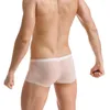 Sous-vêtements hommes boxeurs de soie de glace mince boxershorts transparents pour hommes sexy mâle culotte sans couture shorts lingerie troncs intimes