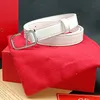 Cintura da donna di design di lusso Cintura da donna in lega di zinco dal design colorato da 2,5 cm Modello sudafricano Cintura da donna alla moda in stile abbinato