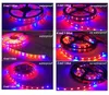 Crescer luzes led strip crescer luzes 1m 2m 3m 5m 12v 2a/3a à prova dwaterproof água crescente planta lâmpada smd 5050 vermelho azul iluminação adaptador de energia u26 yq230926