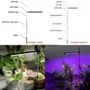 Luzes de cultivo 5V LED PLANT GOLD Plant Lâmpada de espectro completo Longo suculento planta verde em vaso de preenchimento 360 troca de rotação lâmpada de crescimento yq230926