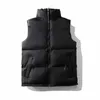 giubbotti da uomo designer giubbotto palla giubbot da uomo giubbotti giubbotti unisex coppia bodywarmer giacca da donna senza maniche da esterno da esterno da outwear con outwear con outpassino caldo gilet uomo