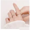 Bandringe Eingelegter kubischer Zirkon 12 Konstellation Sternzeichen für einfache Silberfarbe Verstellbarer Ring Schmuck Geschenk Drop Lieferung Otcwd