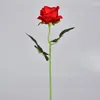 Decorative Flowers Single Simulation Flower Warm Series Rose Living Room Arrangement Decoration Plastic Silk Dry Bouquet