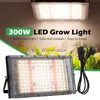 温室の花の栽培ライト成長300W LED植物のためのライトフィトランプライトライトAC165-265VフルスペクトルPHYTOランプ栽培システムYQ230926